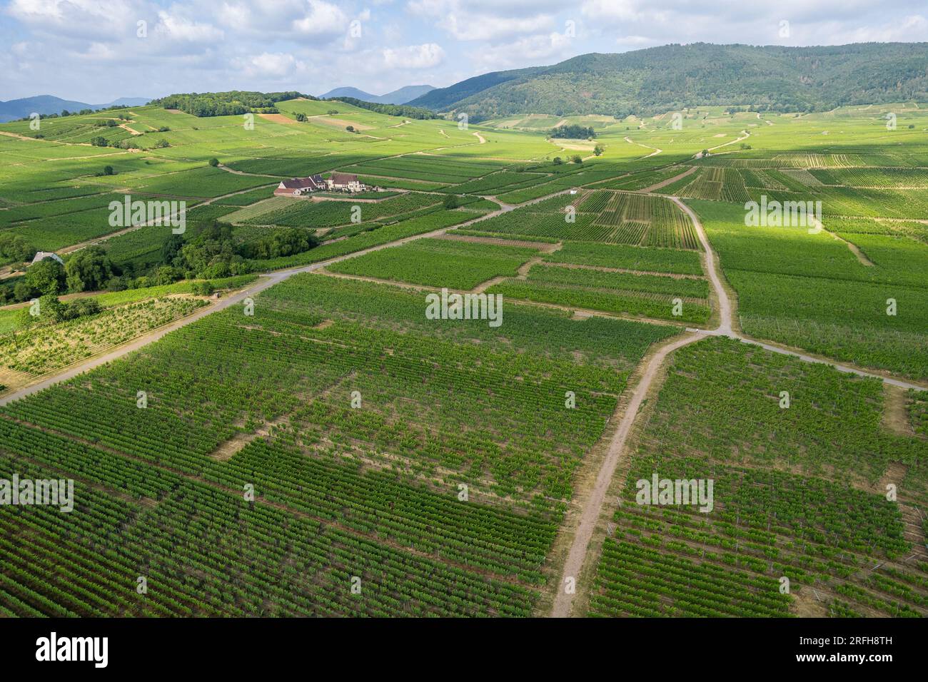 Luftaufnahme von Mittelwihr und Umgebung mit Weinberg im Sommer 2023 - Kommune im Departement Haut-Rhin, Grand Est im Nordosten Frankreichs Stockfoto