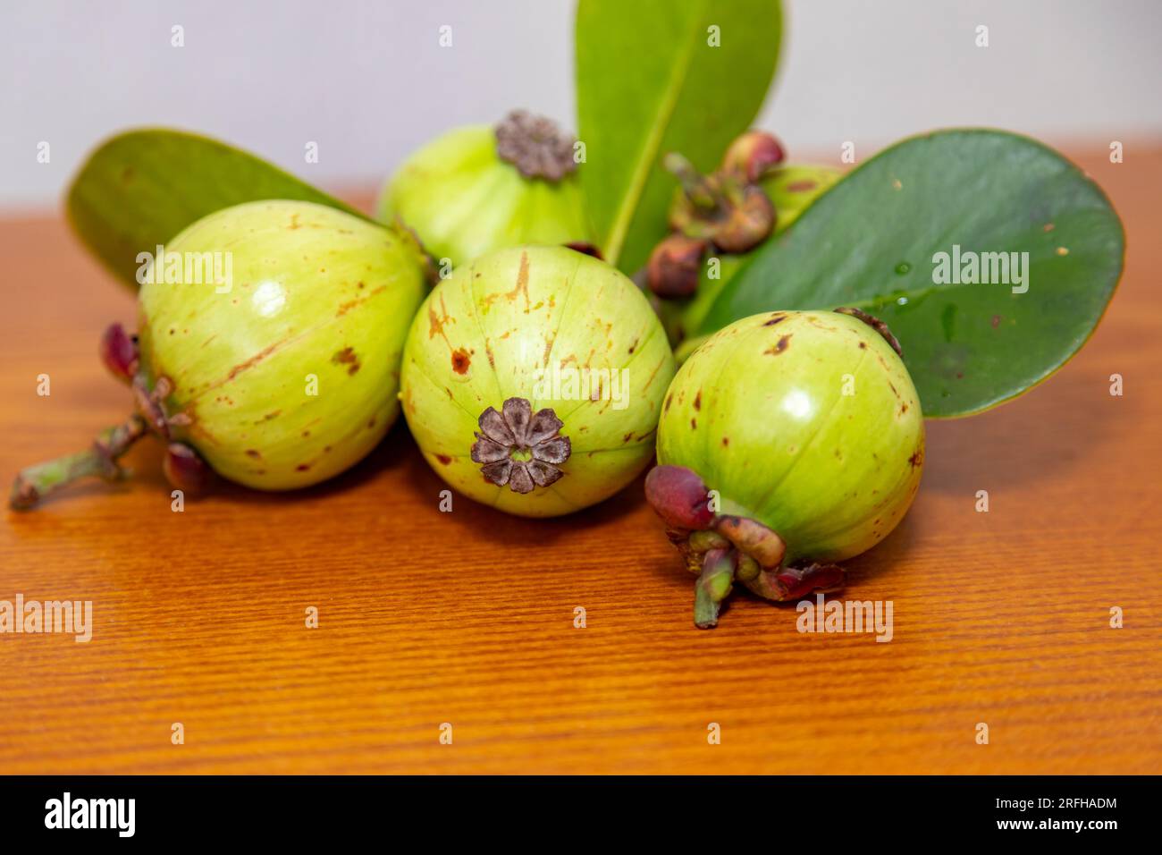 Seltene und exotische tropische Früchte. Botanische Identifikation nicht gefunden. Obst ähnlich wie Mangostan Stockfoto