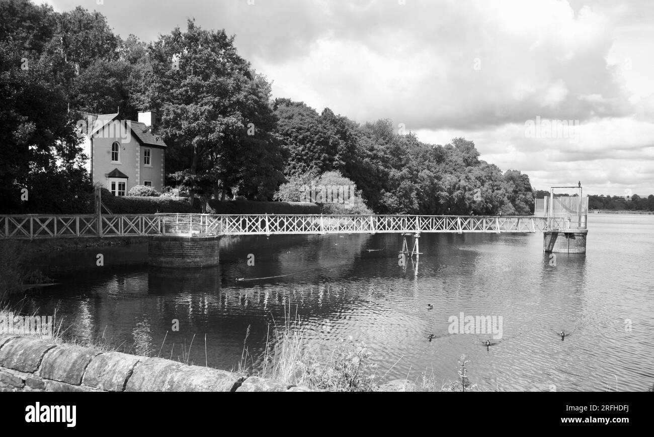 Am Ufer, Worthington Lakes, Douglas Valley, Wigan, England, Europa Stockfoto