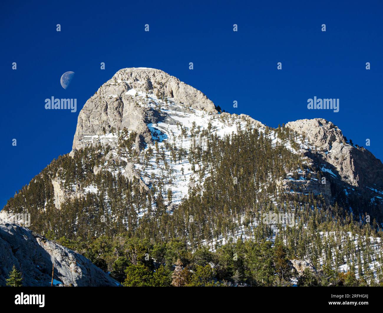 Schneebedeckte Spring Mountains National Recreation Area, Humboldt-Toiyabe National Forest, Nevada, USA. Stockfoto