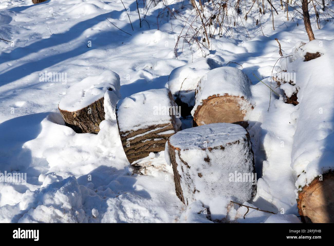 Schneebedeckte Baumstämme zum Anzünden eines Ofens auf dem Land, Schnee in der Wintersaison Stockfoto