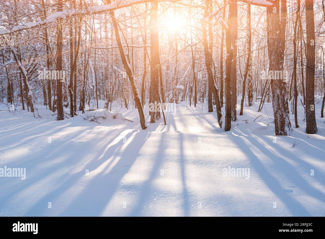 Wunderschönes Sonnenlicht im Winter im verschneiten Wald Berglandschaft Hintergrund Stockfoto