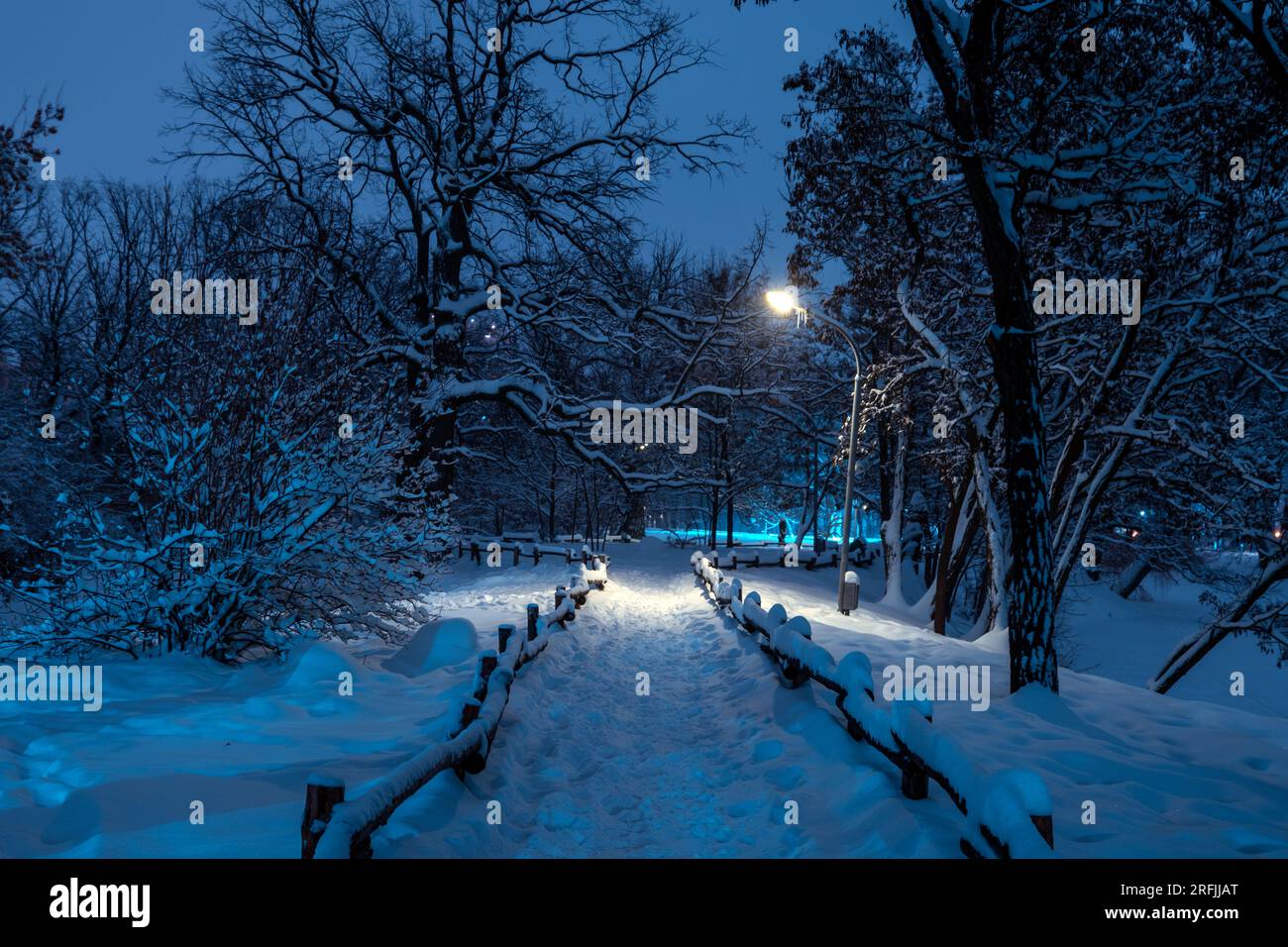 Beleuchteter Stadtpark bei Nacht. Nahaufnahme von Bank und Laterne. Schneebedeckte Bäume nach einem Schneesturm. Dunkle, stimmungsvolle Winterlandschaft Stockfoto