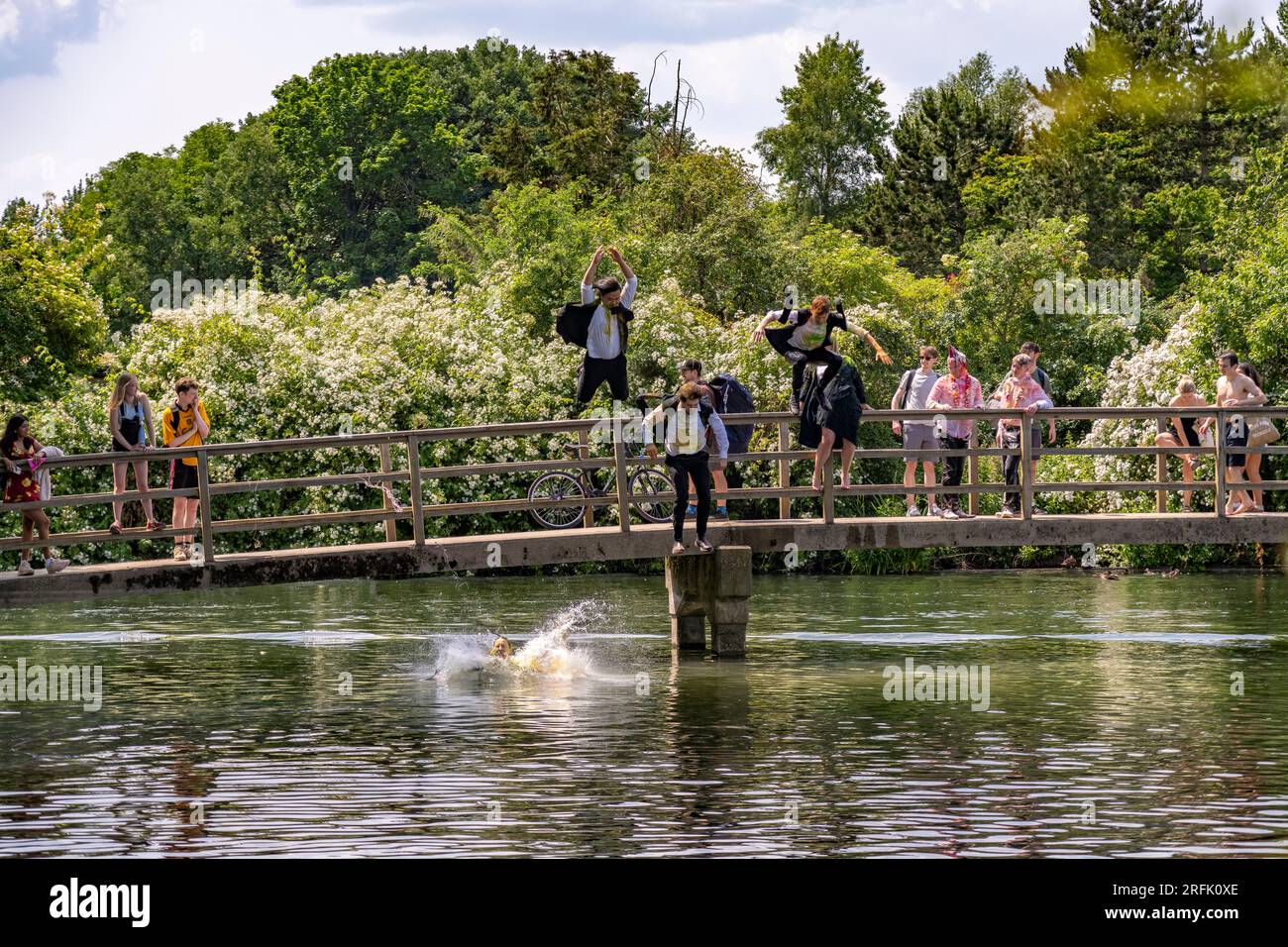 Oxford Studenten beim Sprung in die Themse bei Port Meadow in Oxford, Oxfordshire, England, Großbritannien, Europa | Oxford-Studenten springen in diese Richtung Stockfoto