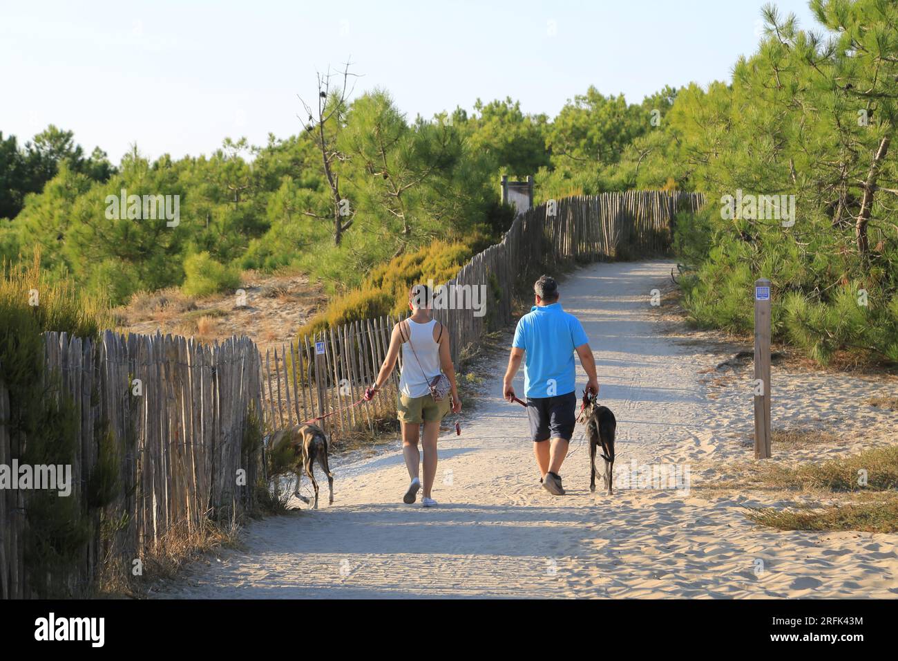 Ehepaar en Promenade avec leurs chiens à la pointe du Cap Ferret sur le Bassin d’Arcachon, Gironde, Nouvelle Aquitaine, Frankreich, Europa Stockfoto