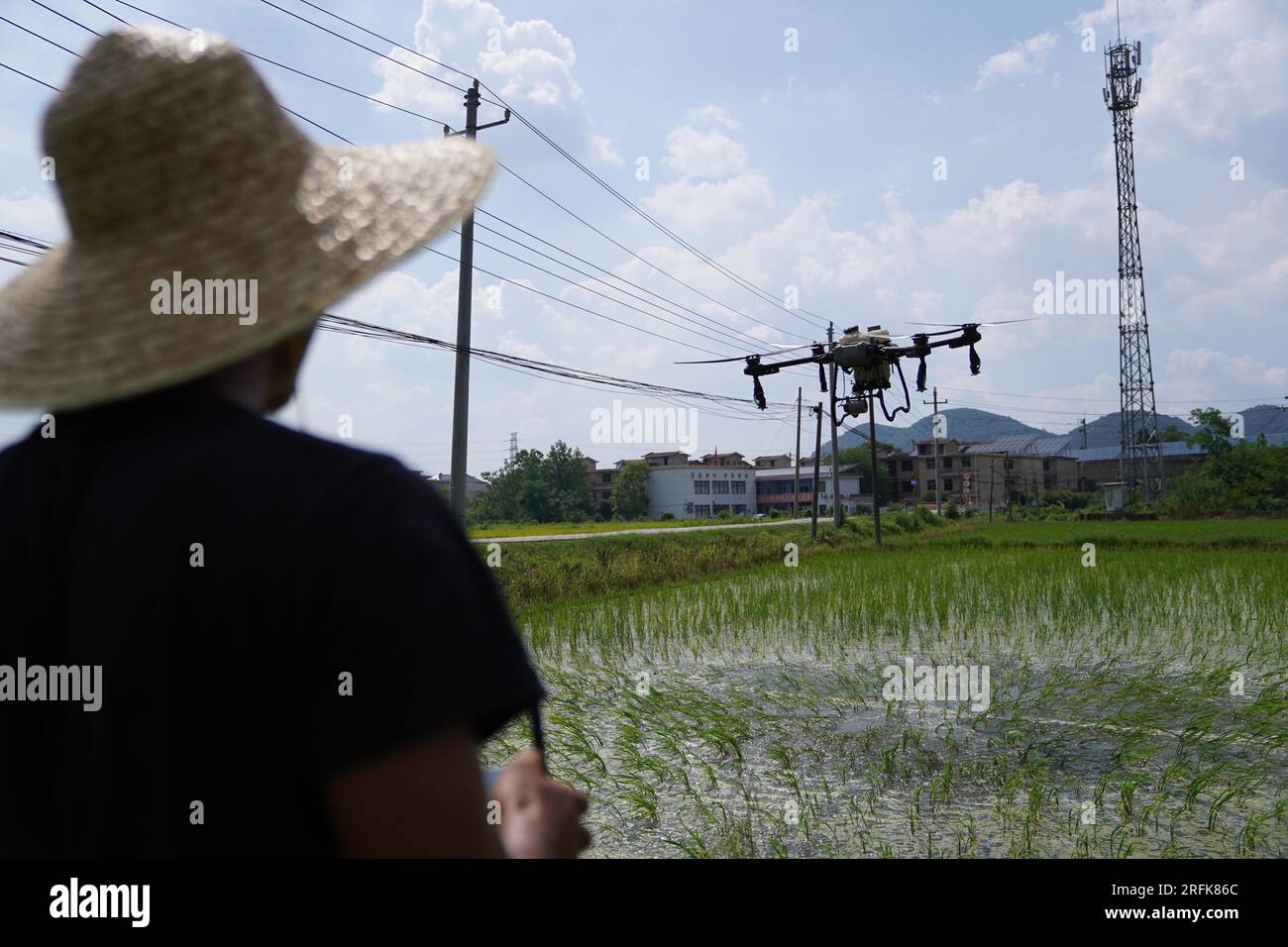 Xinyu. 3. Aug. 2023. Dieses Foto wurde am 3. August 2023 aufgenommen und zeigt einen Farmer, der eine Drohne betreibt, um Dünger auf dem Feld im Kreis Fenyi in der Stadt Xinyu, der Provinz Jiangxi im Osten Chinas, zu sprühen. Der Einsatz landwirtschaftlicher Maschinen wie Reisverarbeiter und Drohnen hat die Effizienz der Landwirtschaft im Landkreis Fenyi gesteigert. Die Anbaufläche für Spätreis hat hier 122.000 Mio. Tonnen (ca. 8.133 Hektar) erreicht und erreicht eine Mechanisierungsrate von 83,44 Prozent. Kredit: Zhou Mi/Xinhua/Alamy Live News Stockfoto