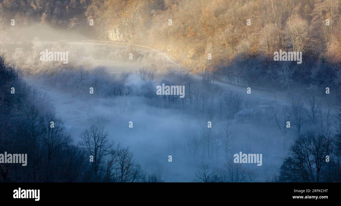 Studenica-Flusstal bedeckt von Morgennebel Stockfoto