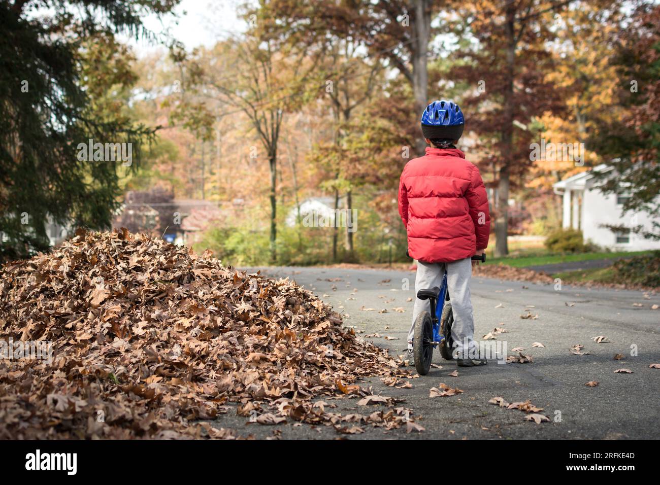 Kleiner Junge auf dem Laufrad neben einem Haufen von geharkt Blättern im Herbst. Stockfoto
