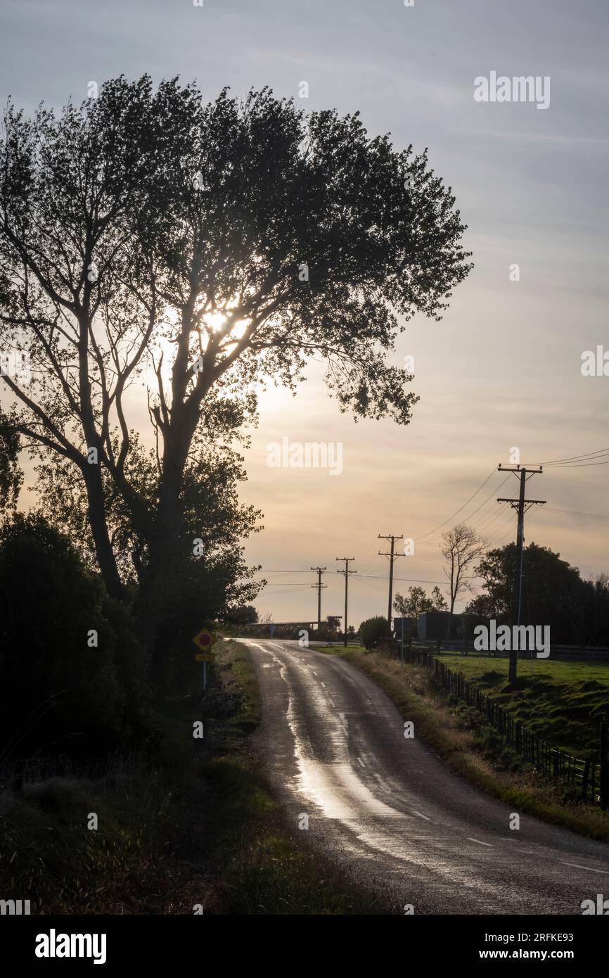 Landstraße, die in Richtung spätnachmittagssonne, Taranaki, Nordinsel, Neuseeland führt Stockfoto