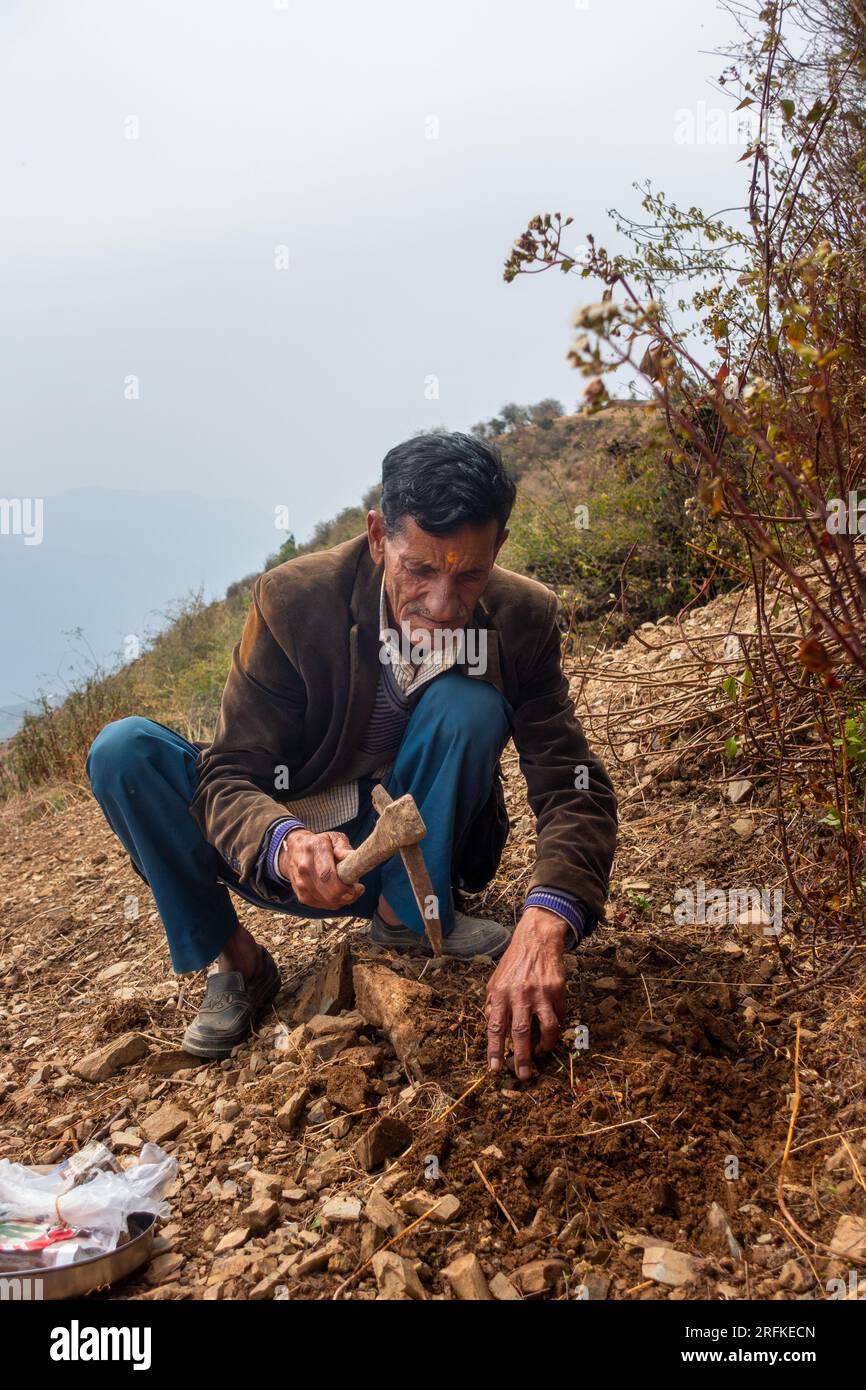 Okt. 14. 2022 Uttarakhand, Indien. Indischer Landwirt, der mit einer Spitzhacke Boden in der Region Garhwal Himalaya von Uttarakhand gräbt. Traditionelle Landwirtschaft in Stockfoto