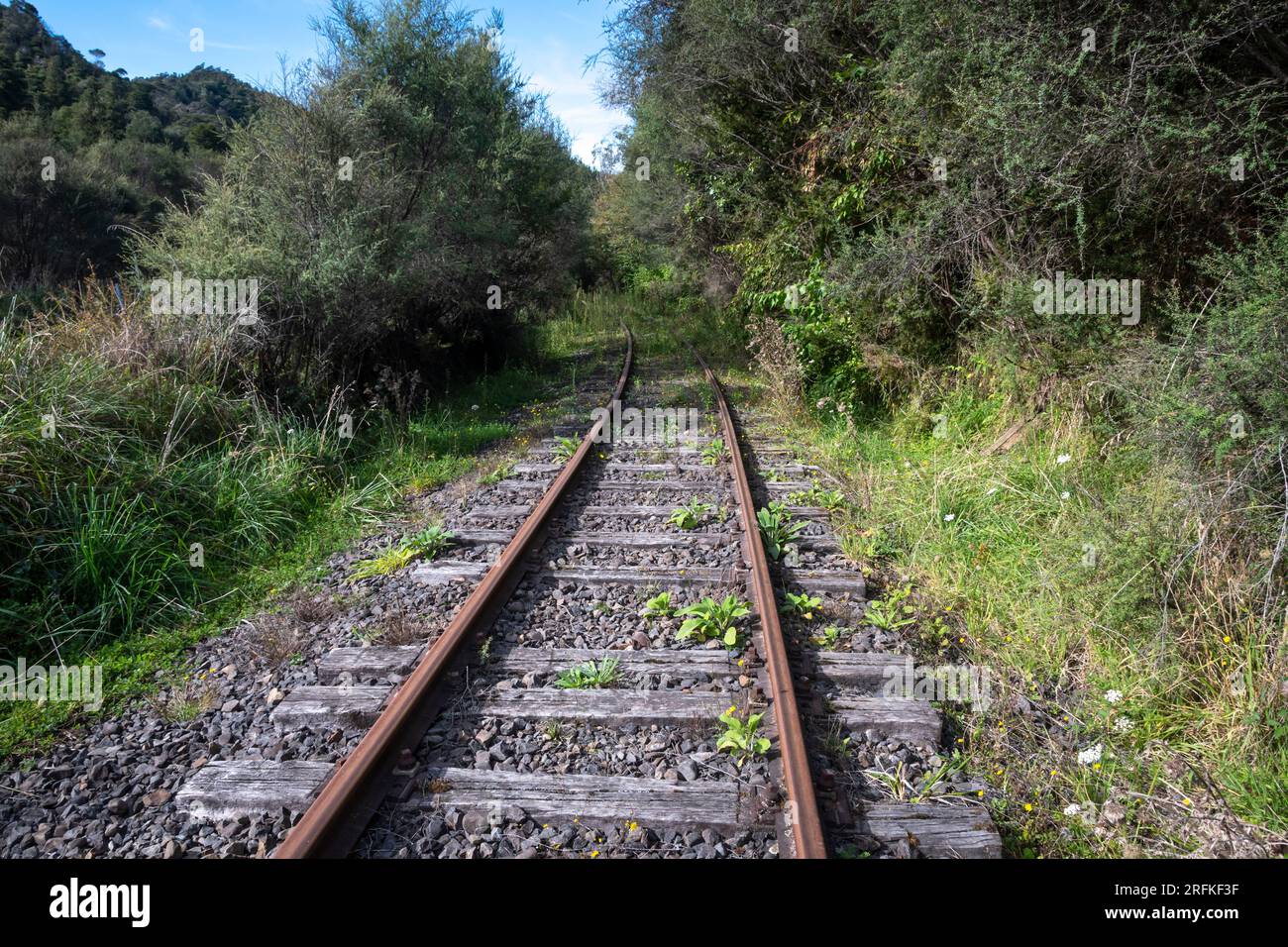 Stillgelegte Eisenbahn in der Nähe von Whangamomona, North Island, Neuseeland Stockfoto
