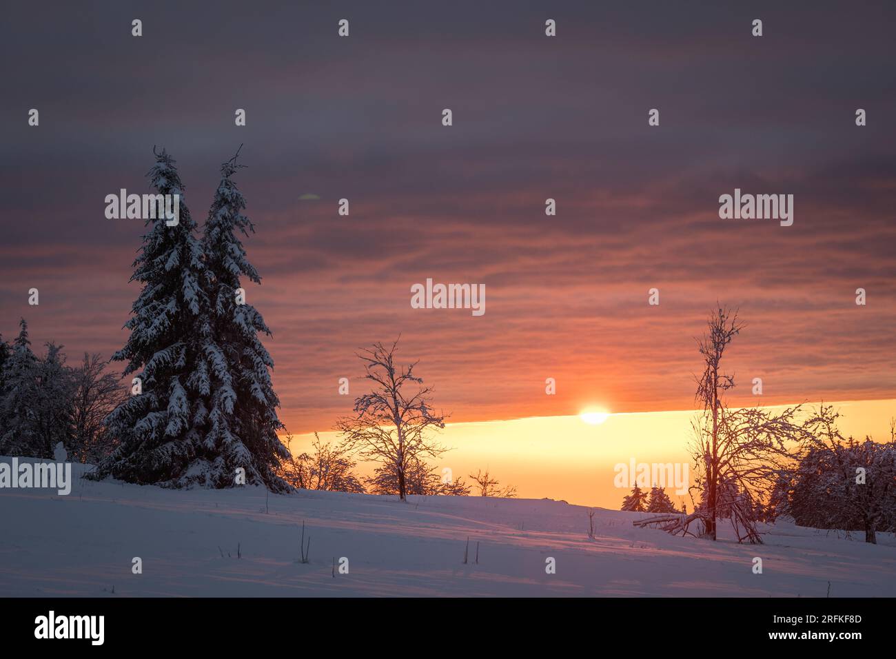 Winterabenstimmung am Hoherodskopf im Vogelsberg Hessen Deutschland Stockfoto