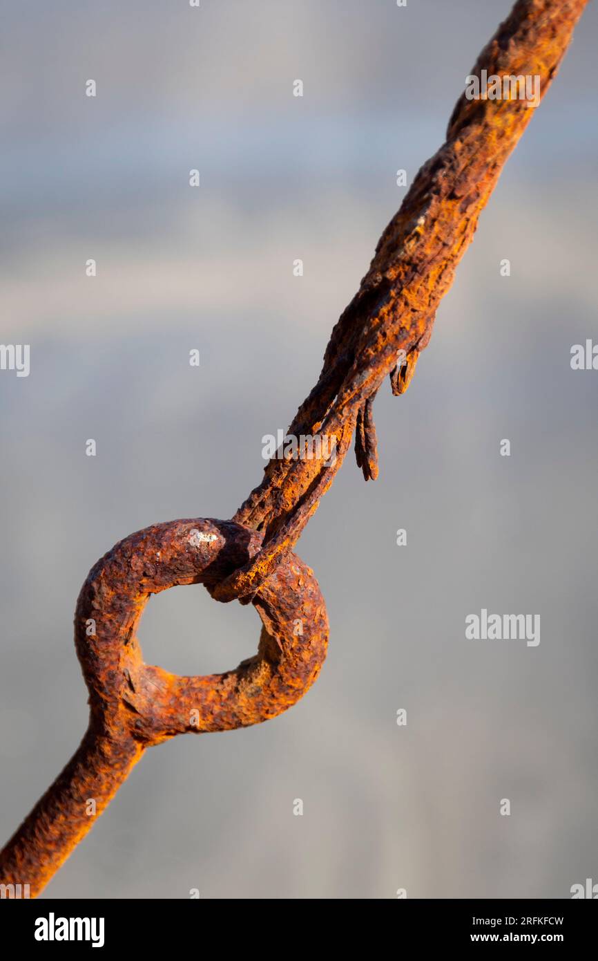 Rostiger Stahlring und Kabel neben dem Strand in Plimmerton, Porirua, Wellington, North Island, Neuseeland Stockfoto