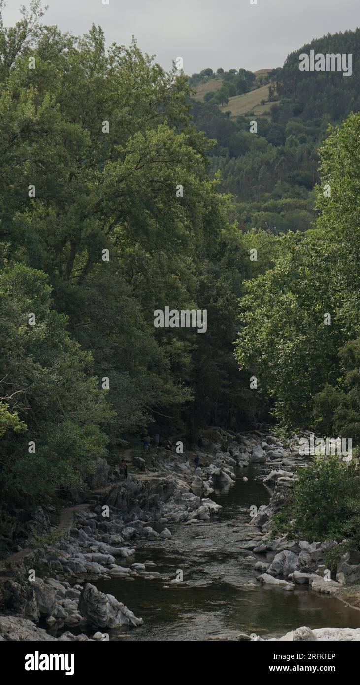 Vertikale Fotografie eines Flusses mitten in der Natur Stockfoto