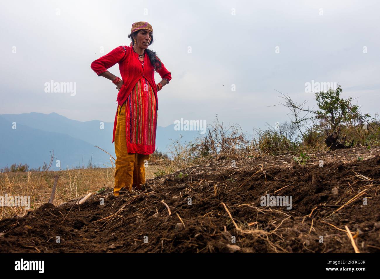 Oktober 14. 2022 Uttarakhand, Indien. Garhwali-Frau in traditioneller Kleidung, jubelt auf ihrem Ackerland, nachdem sie Samen gepflanzt und gesät hat. Die Umsetzung der Stockfoto