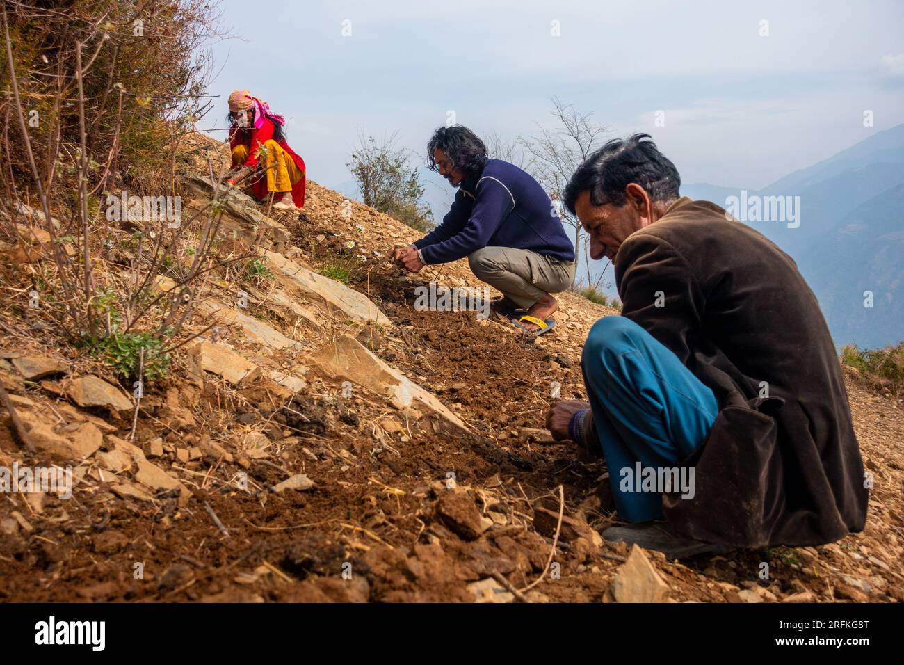 14. Oktober 2022 Uttarakhand, Indien. Stadtbewohner, die in der Region Tehri Garhwal in Uttarakhand mit Bauern auf dem Land arbeiten. Permakultur p Stockfoto