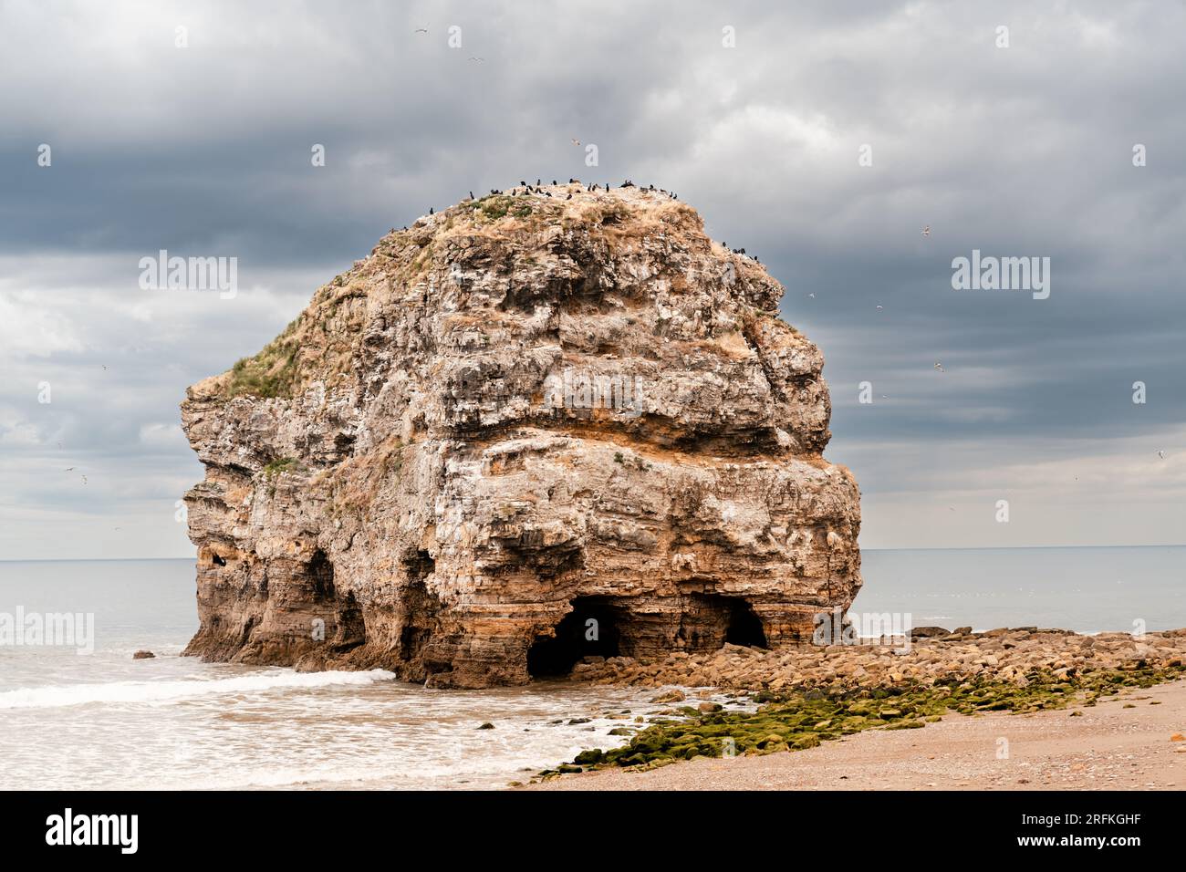 Marsden Rock in South Shields Stockfoto