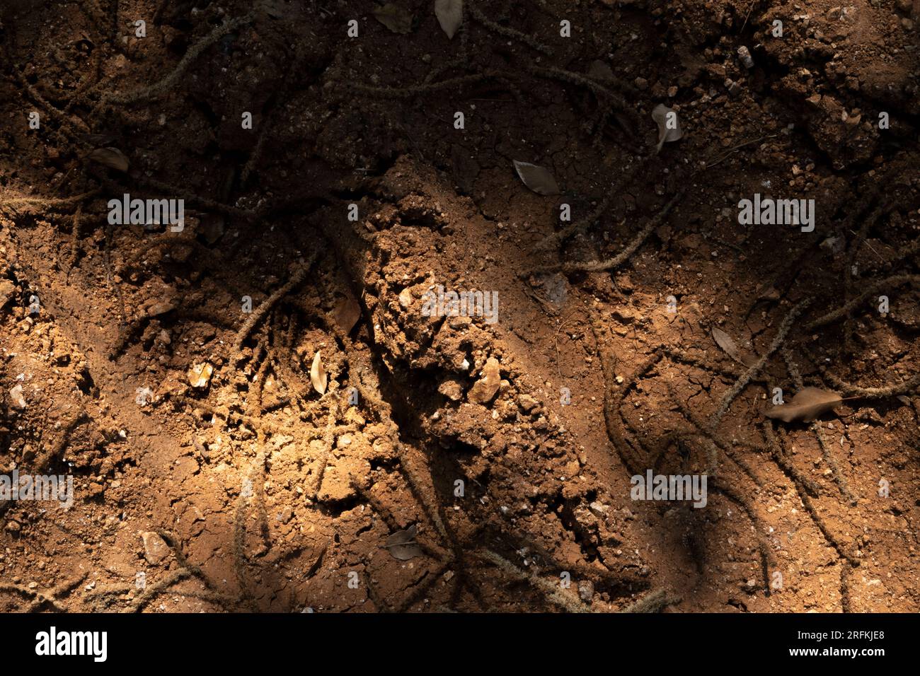 Roter Bodenhintergrund mit hellen Formen, natürlicher felsiger Boden Stockfoto