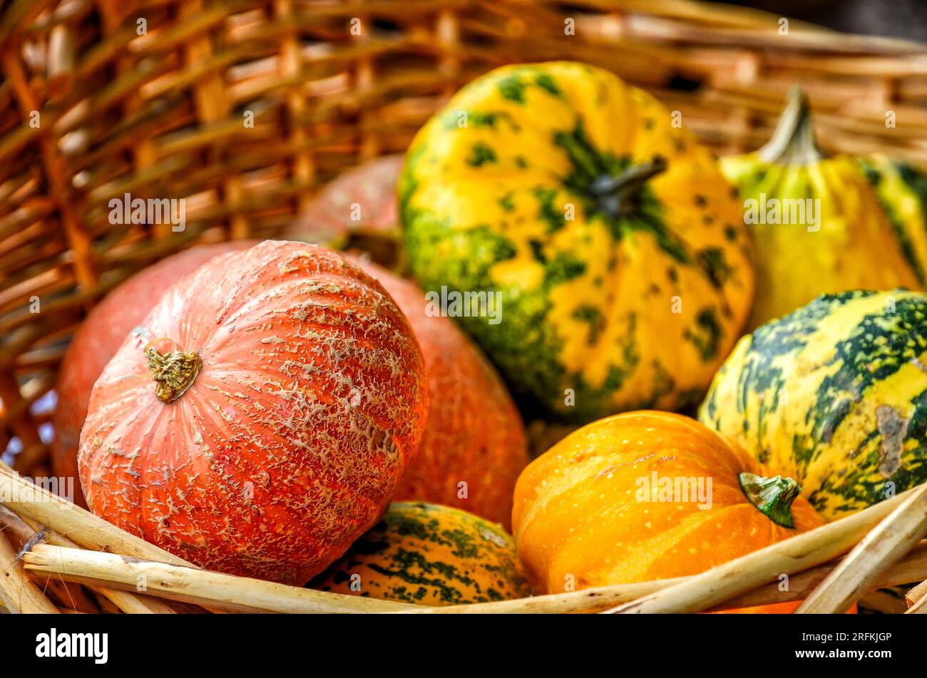 Kürbisse auf einem Markt in Spreewald im Herbst Stockfoto