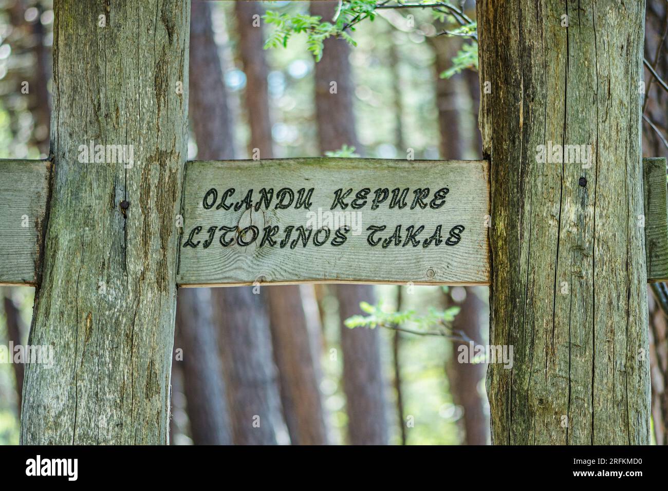 Hölzerne Wegweiser am Eingang zum Olando Kepure Trail inmitten von Hügeln, Dünen und Pinienwäldern an der litauischen Ostsee Stockfoto