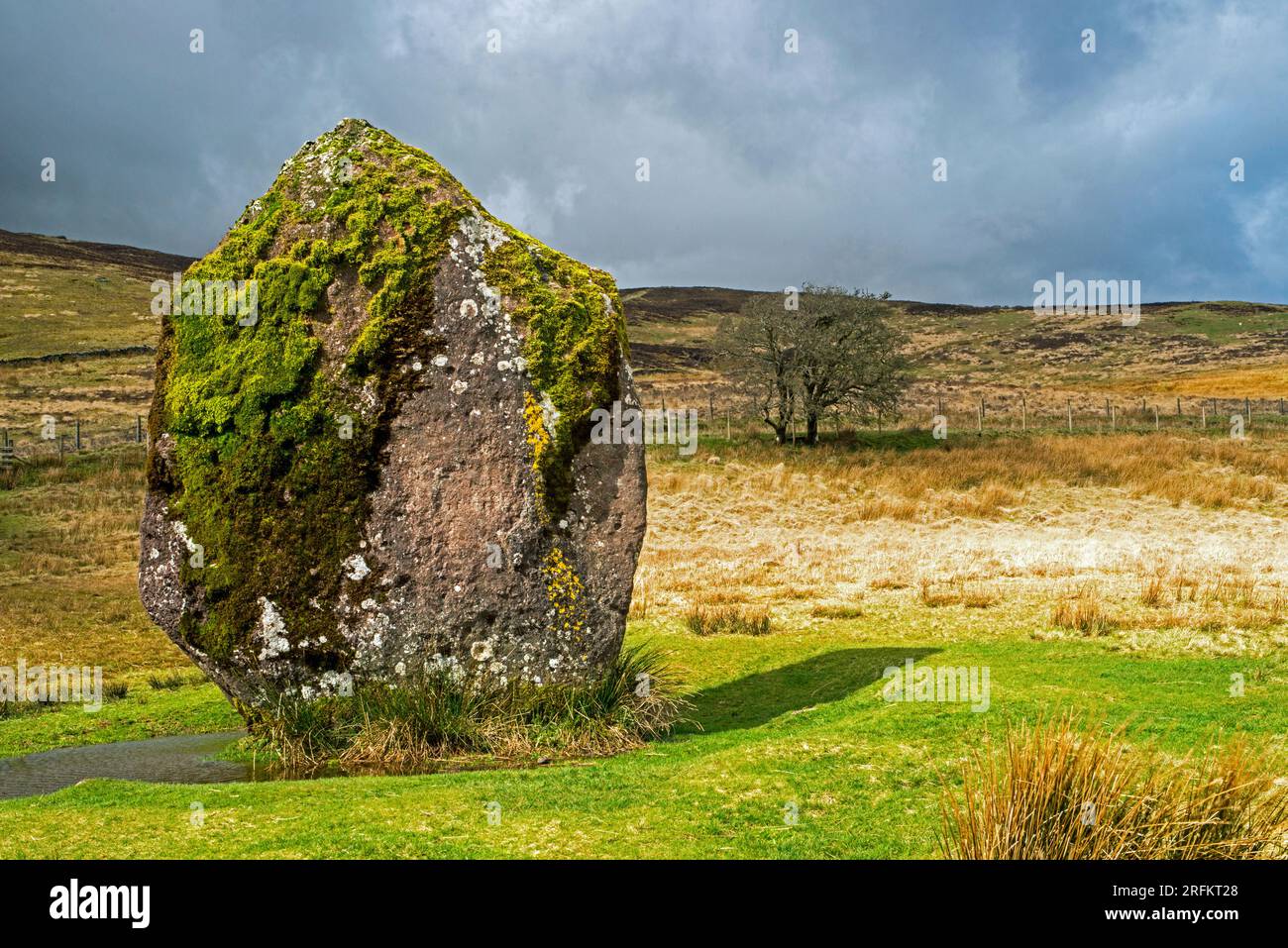 Maen Llia, ein antiker roter stehender Stein, in Fforest Fawr, auf der westlichen Seite des Brecon Beacons Nationalparks, Südwales. Stockfoto