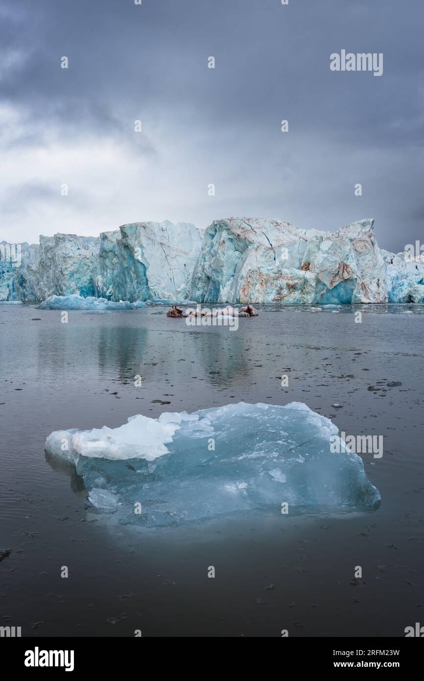 Arktische Gletscherlandschaft in Svalbard Stockfoto