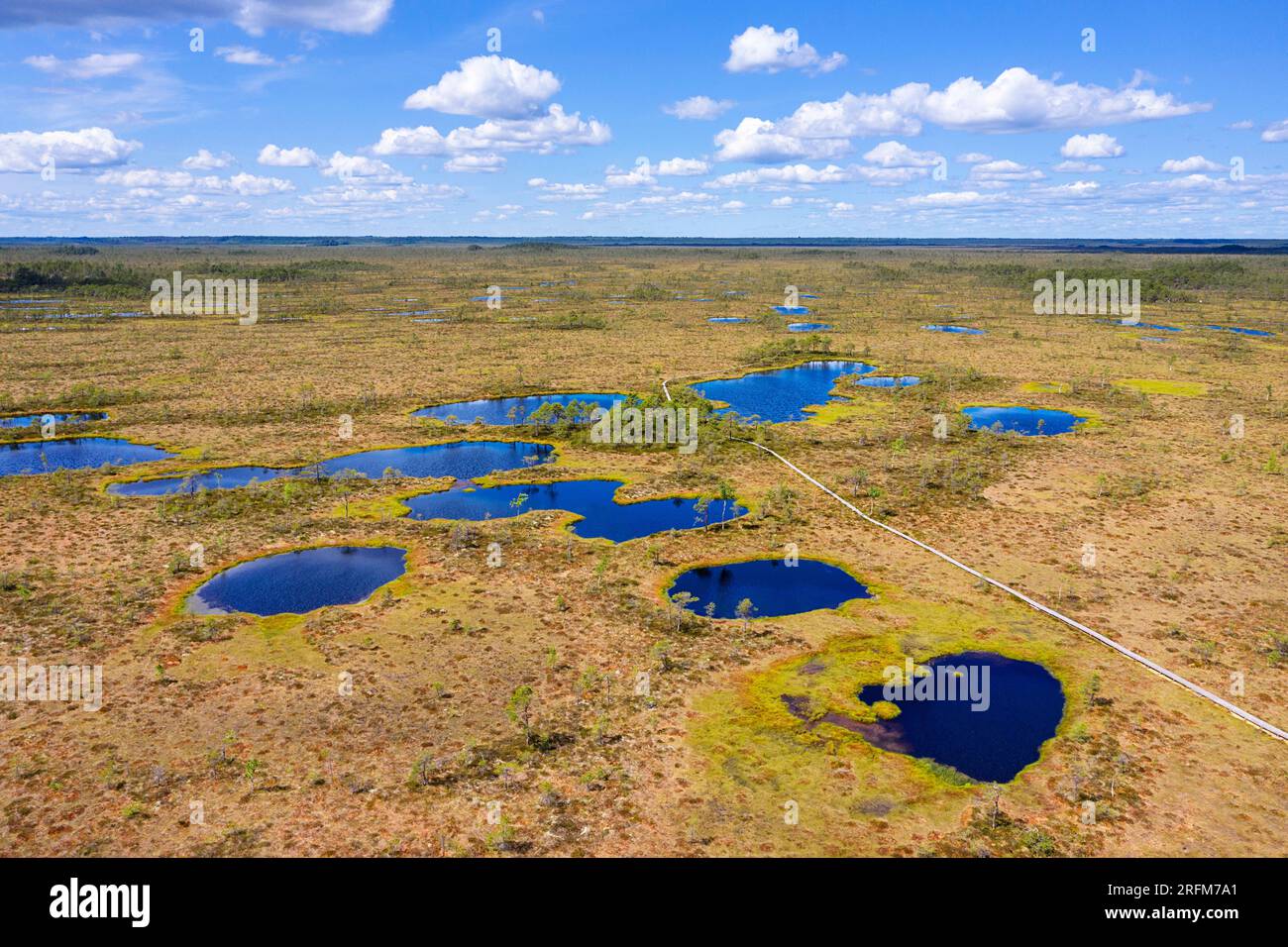 Spektakulärer Blick auf einen Hupassaare-Wanderweg zum Kuresoo-Moor voller Seen an einem wunderschönen Sommertag im Soomaa-Nationalpark Estland Stockfoto