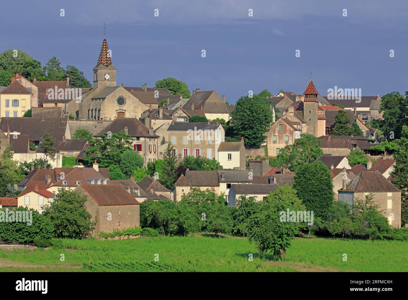 Frankreich, Côte-d'Or, Monthélie, das Dorf aus der Sicht der berühmten Weinberge Stockfoto