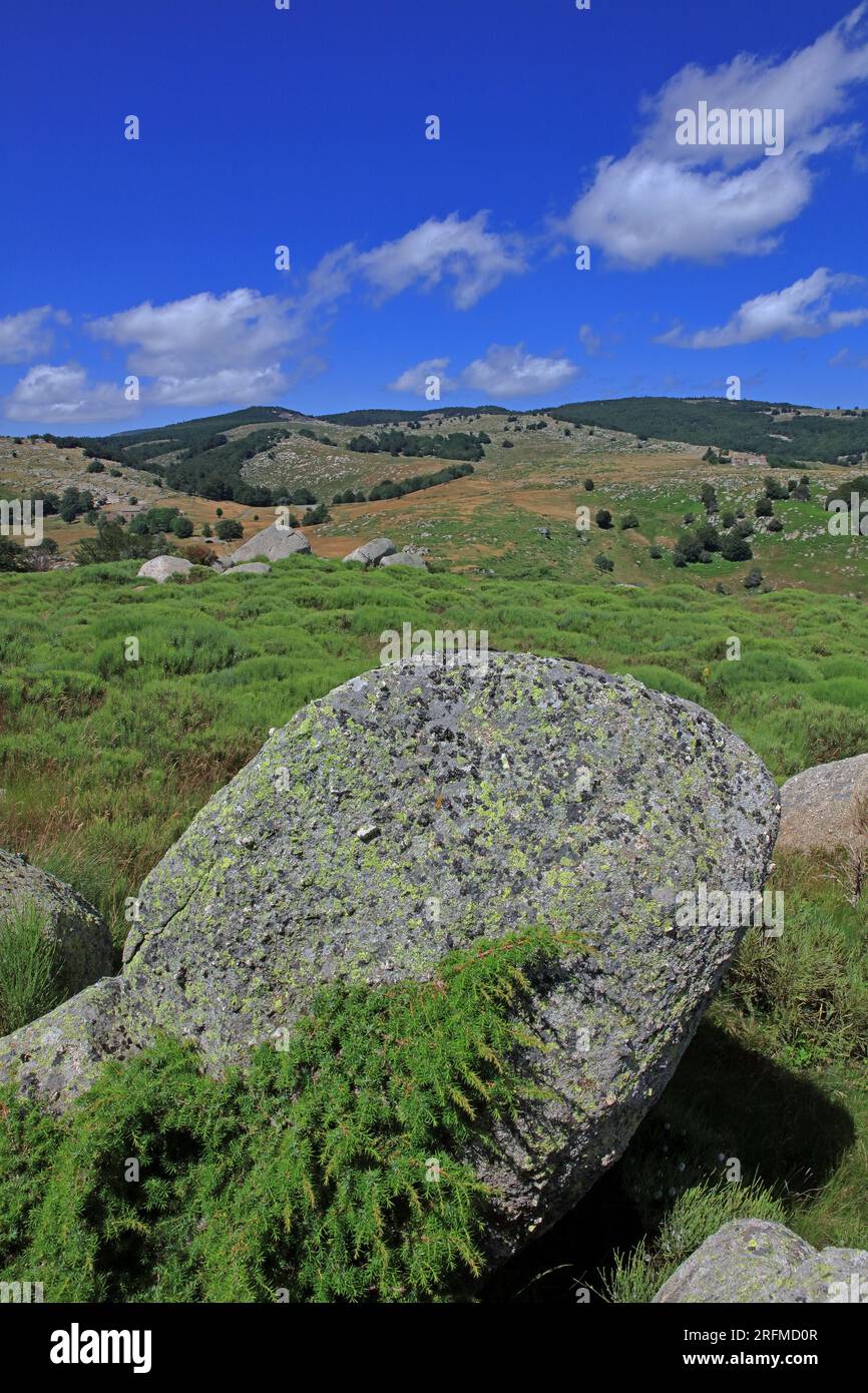 Frankreich, Departement Lozère, Cévennes, Landschaft des Mont Lozère, hier in der Nähe von Aubaret, einem UNESCO-Weltkulturerbe. Stockfoto