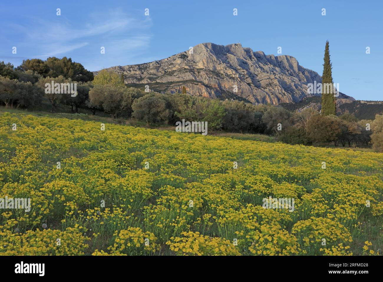 Frankreich, Departement Bouches-du-Rhône, Puyloubier, Landschaft der Montagne Sainte-Victoire Stockfoto