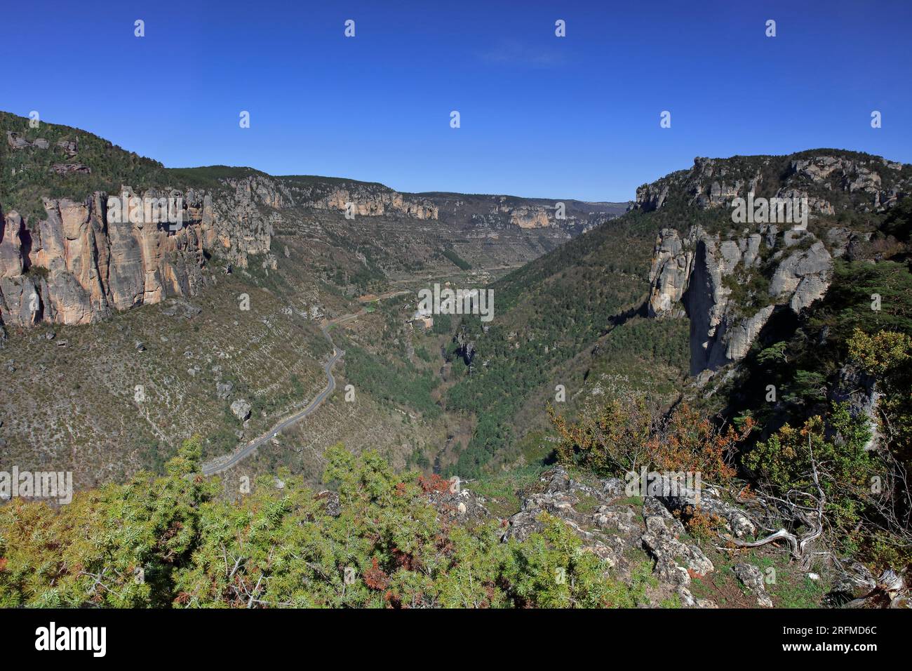 Frankreich, Departement Aveyron, Le Rozier, Veyreau, Jonte Gorges, Causse-Méjan-Vorsprung, Cevennes-Nationalpark, regionaler Naturpark Grands Causses Stockfoto