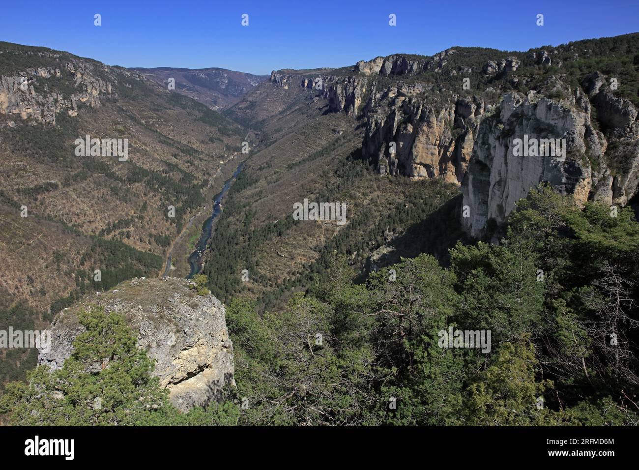Frankreich, Departement Aveyron, Le Rozier, Saint-Pierre-des-Tripiers les Gorges du Tarn, Nationalpark Cevennes, regionaler Naturpark Grands Causses Stockfoto