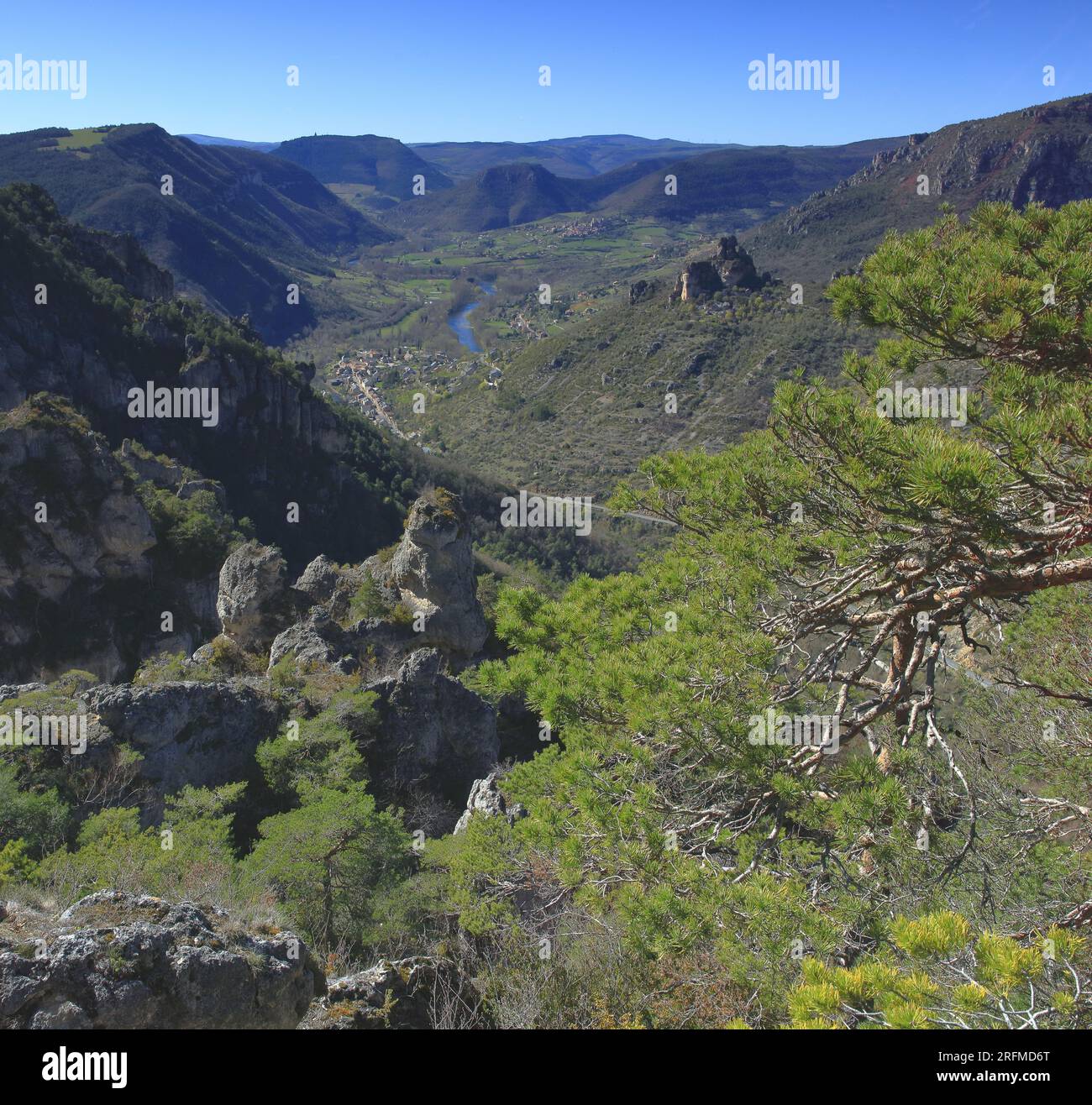 Frankreich, Departement Aveyron, Veyreau, Saint-Pierre-des-Tripiers die Jonte-Schluchten, der Cevennes-Nationalpark, der regionale Naturpark Grands Causses Stockfoto