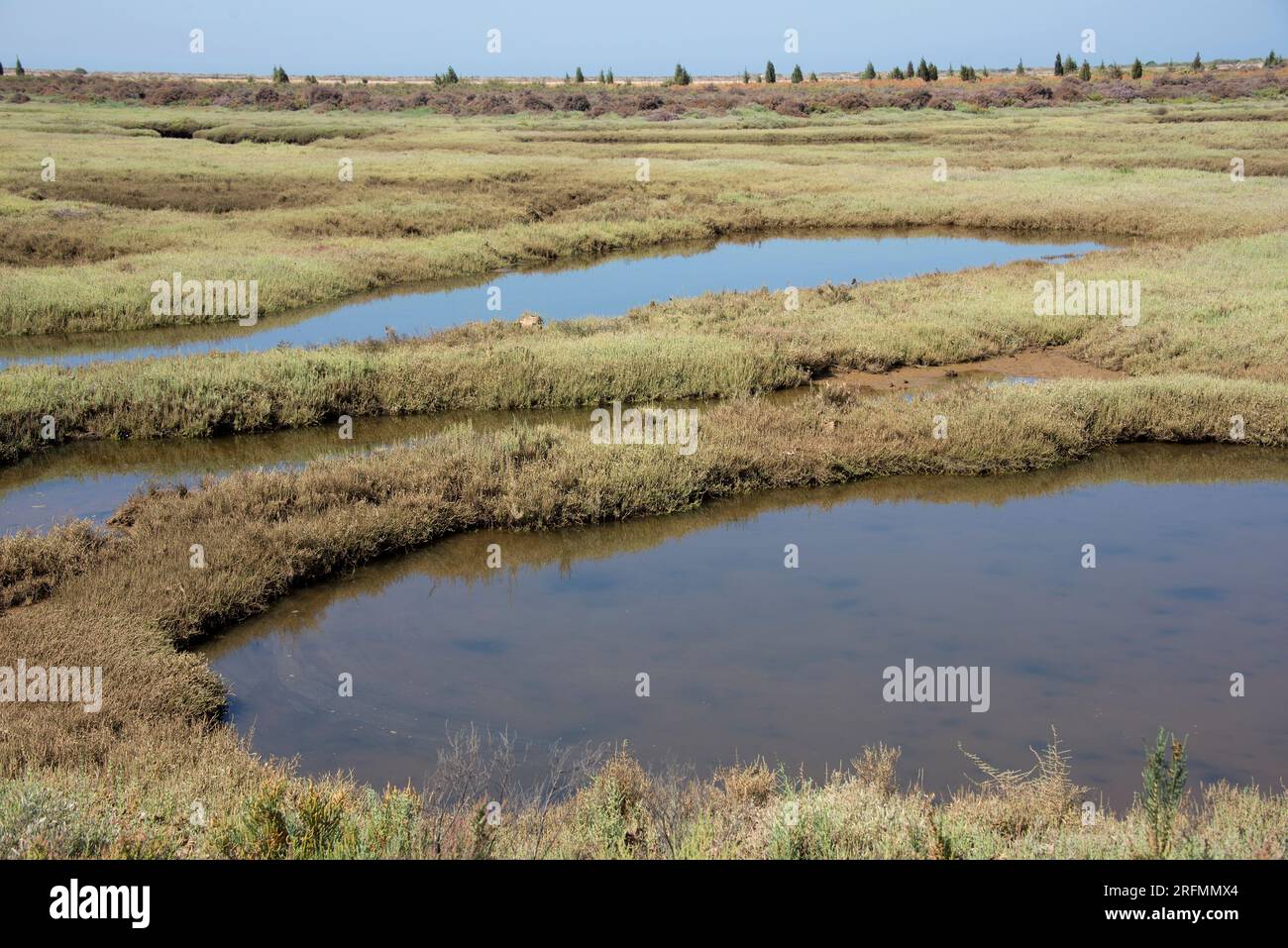 Marismas del Rio Odiel. Huelva Provinz, Andalusien, Spanien. Stockfoto