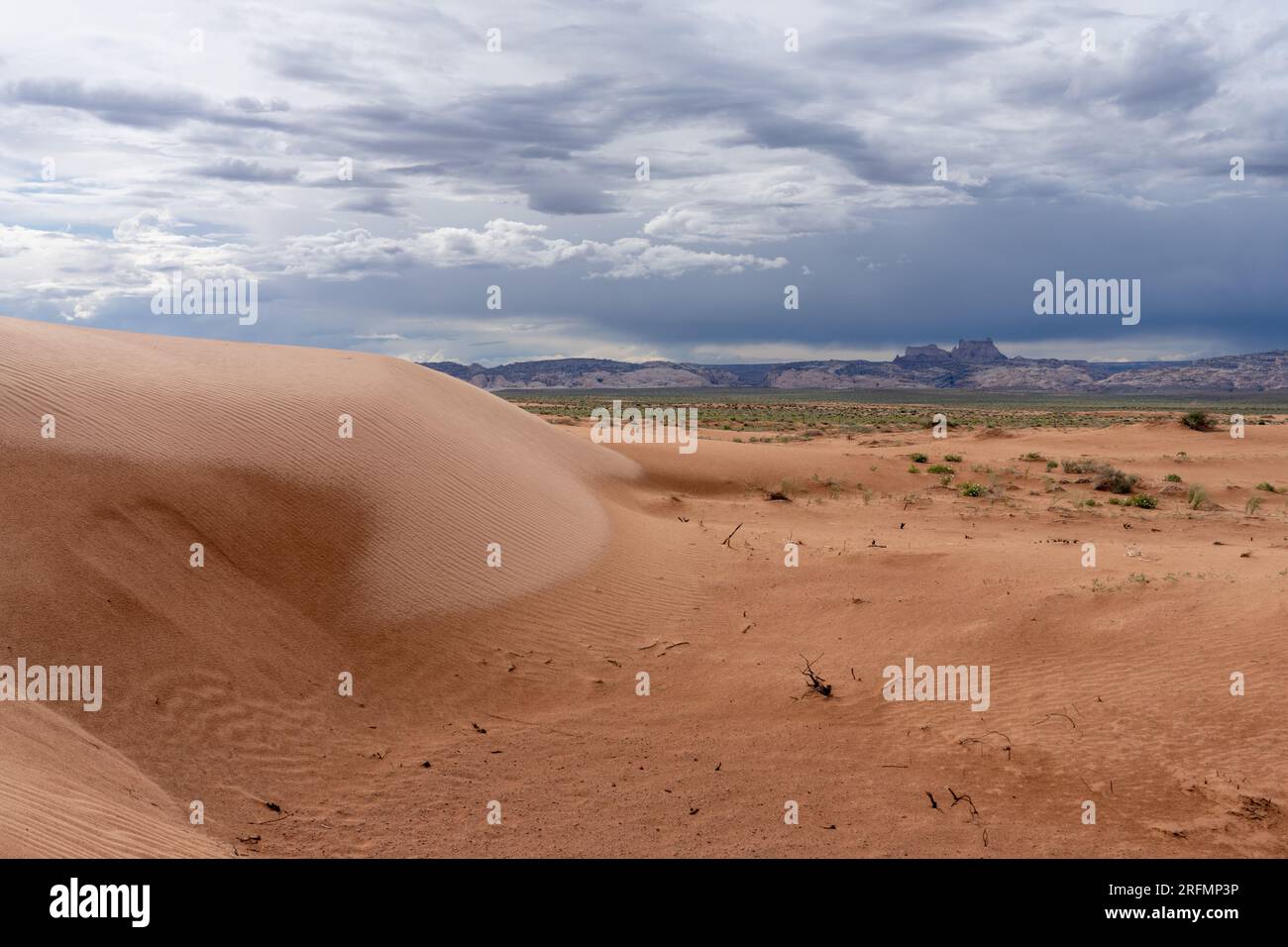 Verwüstete Sanddünen in der San Rafael Wüste mit Sturmwolken über Temple Mountain und dem San Rafael Reef in der Nähe von Hanksville, Utah. Stockfoto