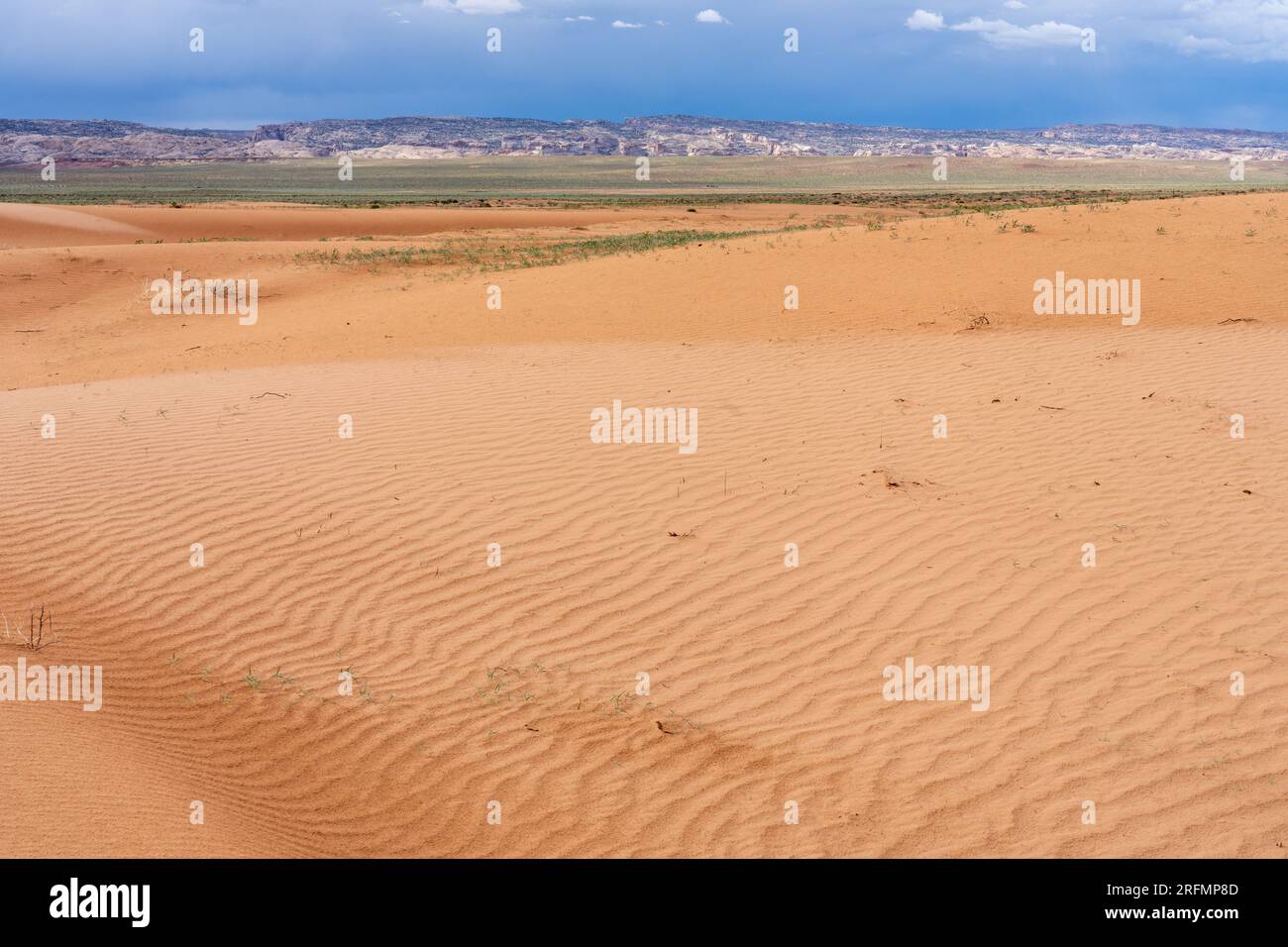 Gewundene Sanddünen in der San Rafael Wüste mit Sturmwolken über dem San Rafael Reef bei Hanksville, Utah. Stockfoto