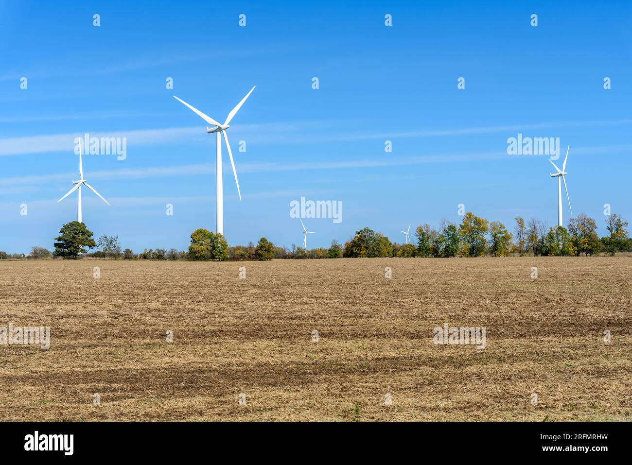 Windpark auf dem Land an einem klaren Herbsttag Stockfoto