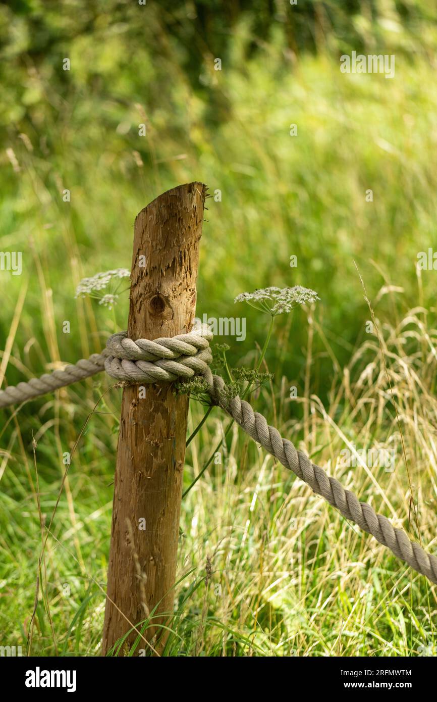 Nahaufnahme eines Hanfseils, das um einen Holzpfahl in einem Garten gewickelt ist, um ein Gebiet abzuzäunen, England, Großbritannien Stockfoto