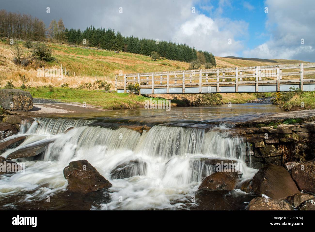 Der Afon Llia River, der im April durch Fforest Fawr im Brecon Beacons National Park in Südwales fließt - die Straßenbrücke ist für Holzlaster Stockfoto
