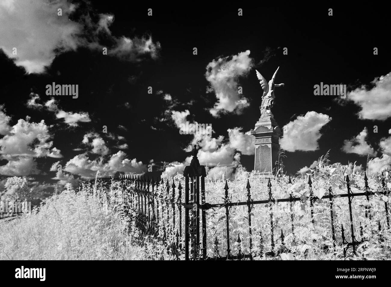 Kontrastreiches Schwarz-Weiß-Bild eines eisernen Zauns und eines großen Marmorengels auf einem vergessenen ländlichen Friedhof im Süden indianas. Stockfoto