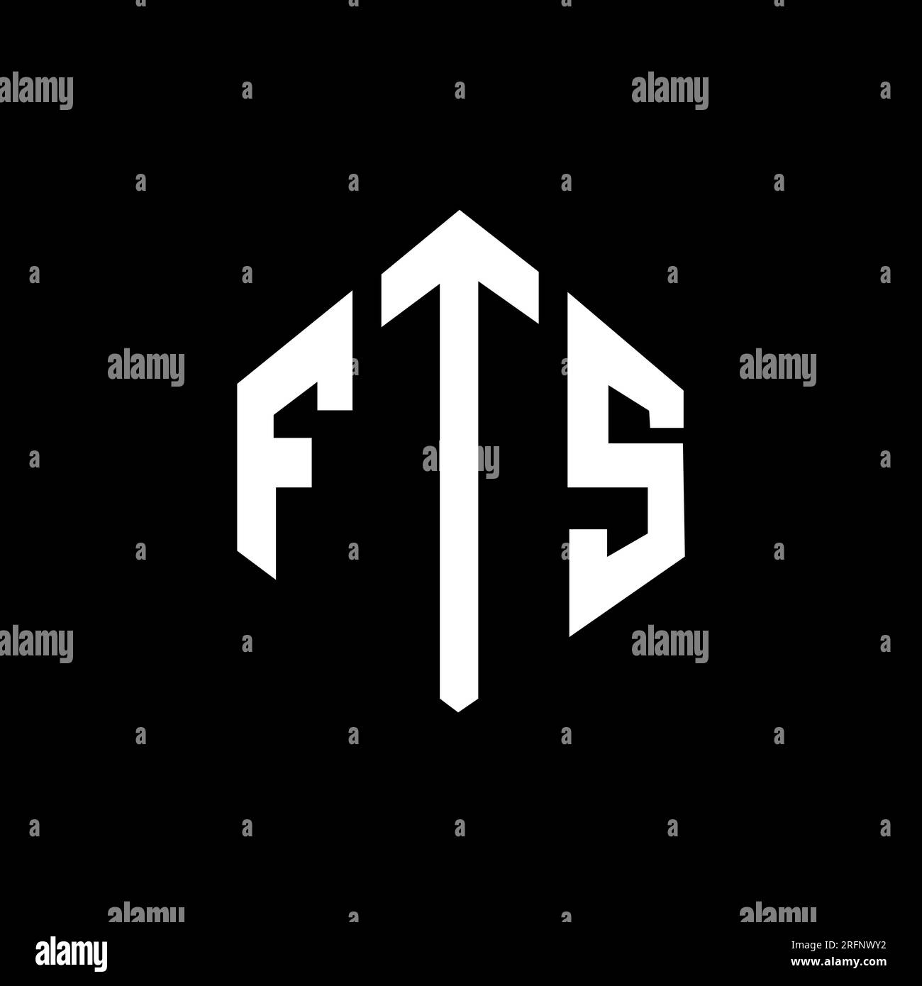 Logo mit FTS-Buchstaben und Polygonform. FTS-Polygon- und würfelförmiges Logo. FTS sechseckige Vektorvorlage in Weiß und Schwarz. FTS Monogr Stock Vektor