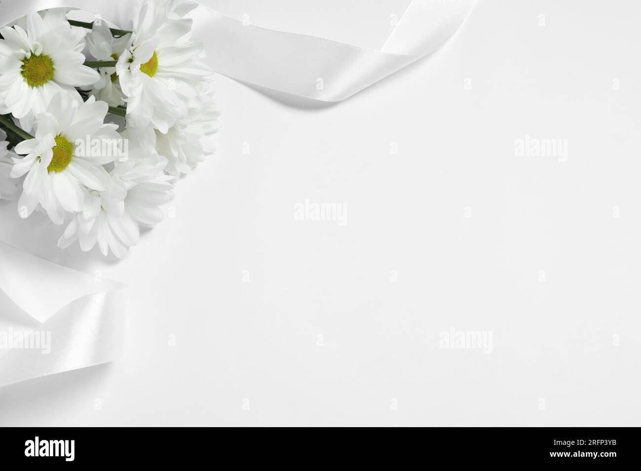 Wunderschöne Chrysanthemen und Band auf weißem Hintergrund, Platz für Text. Begräbnissymbole Stockfoto