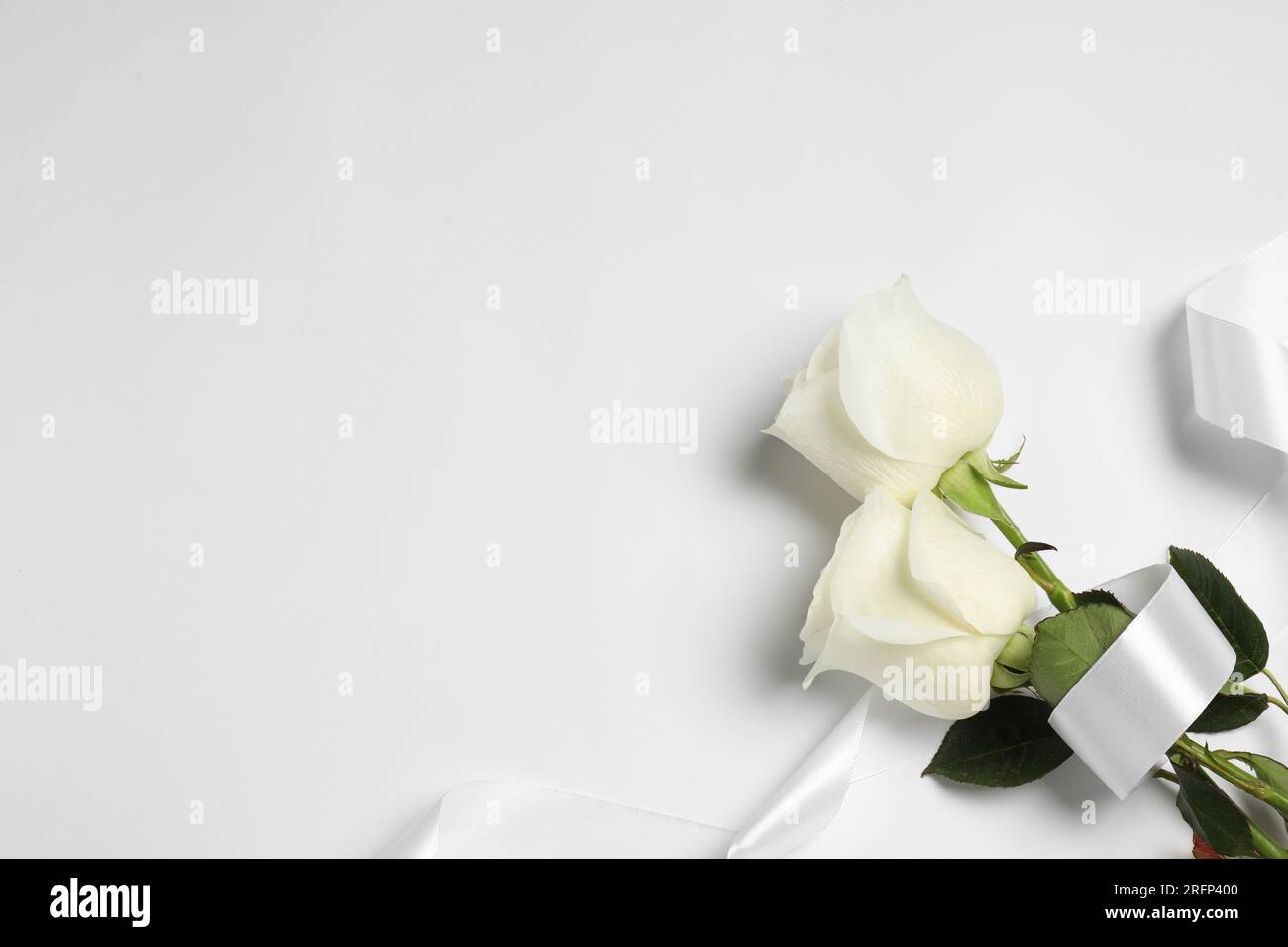 Schöne Rosen und Band auf weißem Hintergrund, flach liegend mit Platz für Text. Begräbnissymbole Stockfoto