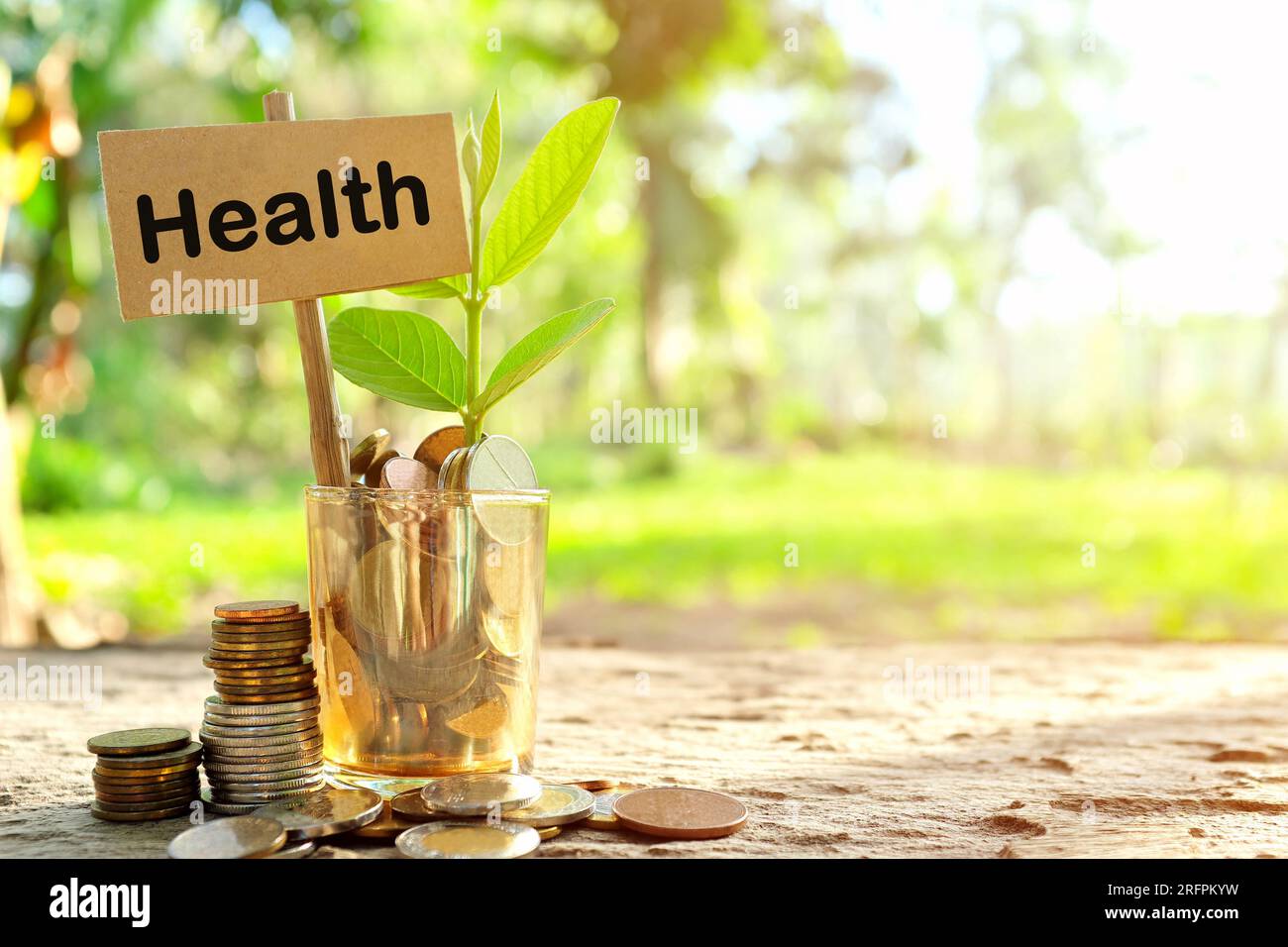 Investition in das Gesundheitskonzept. Münzen in einem Glas mit Erde und wachsender Pflanze im Naturhintergrund. Stockfoto
