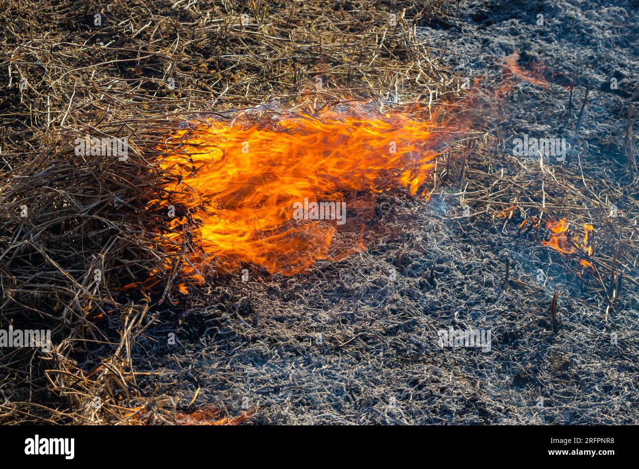 Der Nahhintergrund des Feuers steigt von brennendem Stroh zu schwarzer Asche und Rauch. Stockfoto