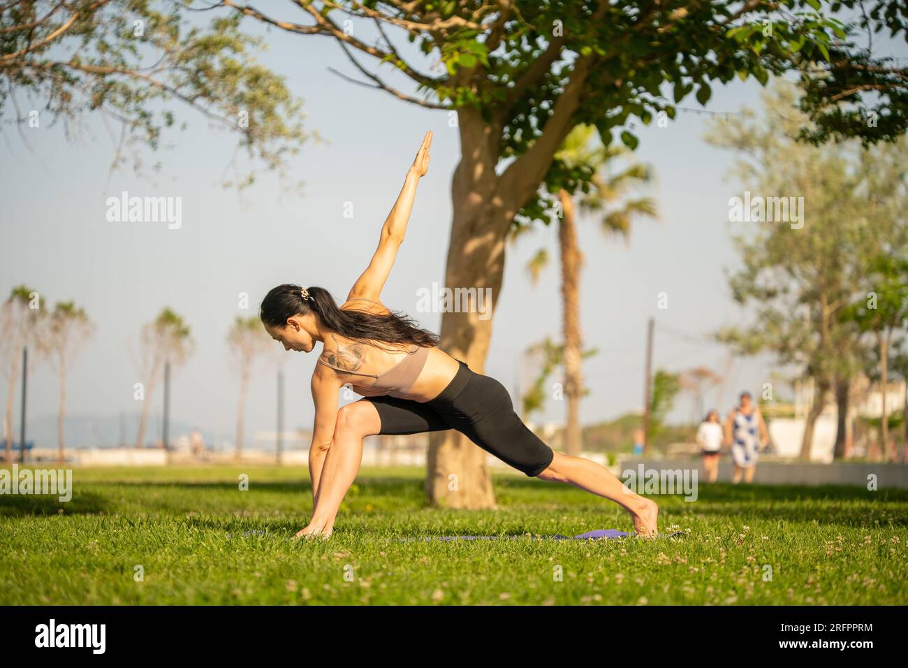 Sportliche junge Frau macht Yoga im Park am Morgen. Stockfoto