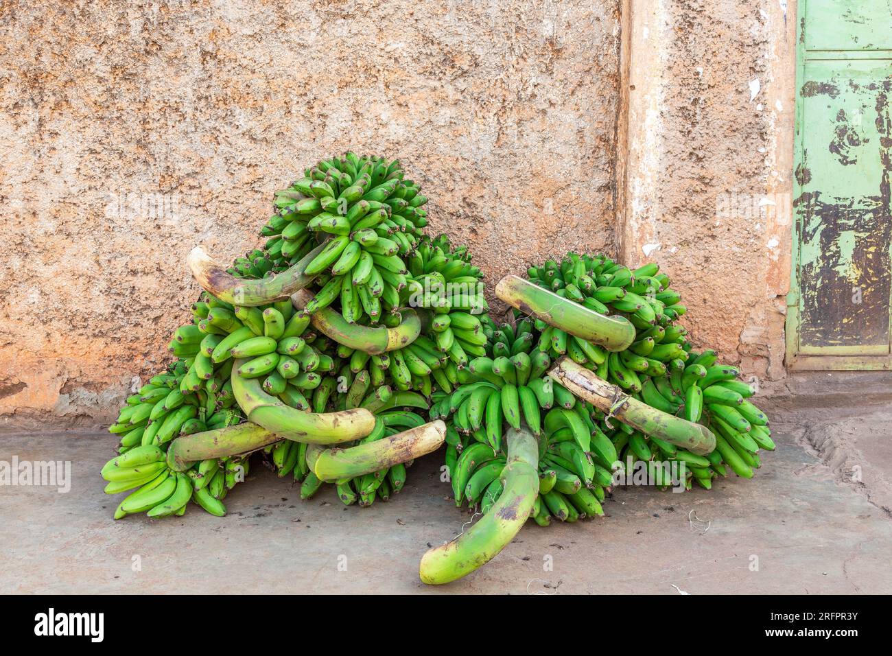 Bananenbunte, immer noch grün, zum Verkauf auf dem Jinja-Markt, Uganda. Stockfoto