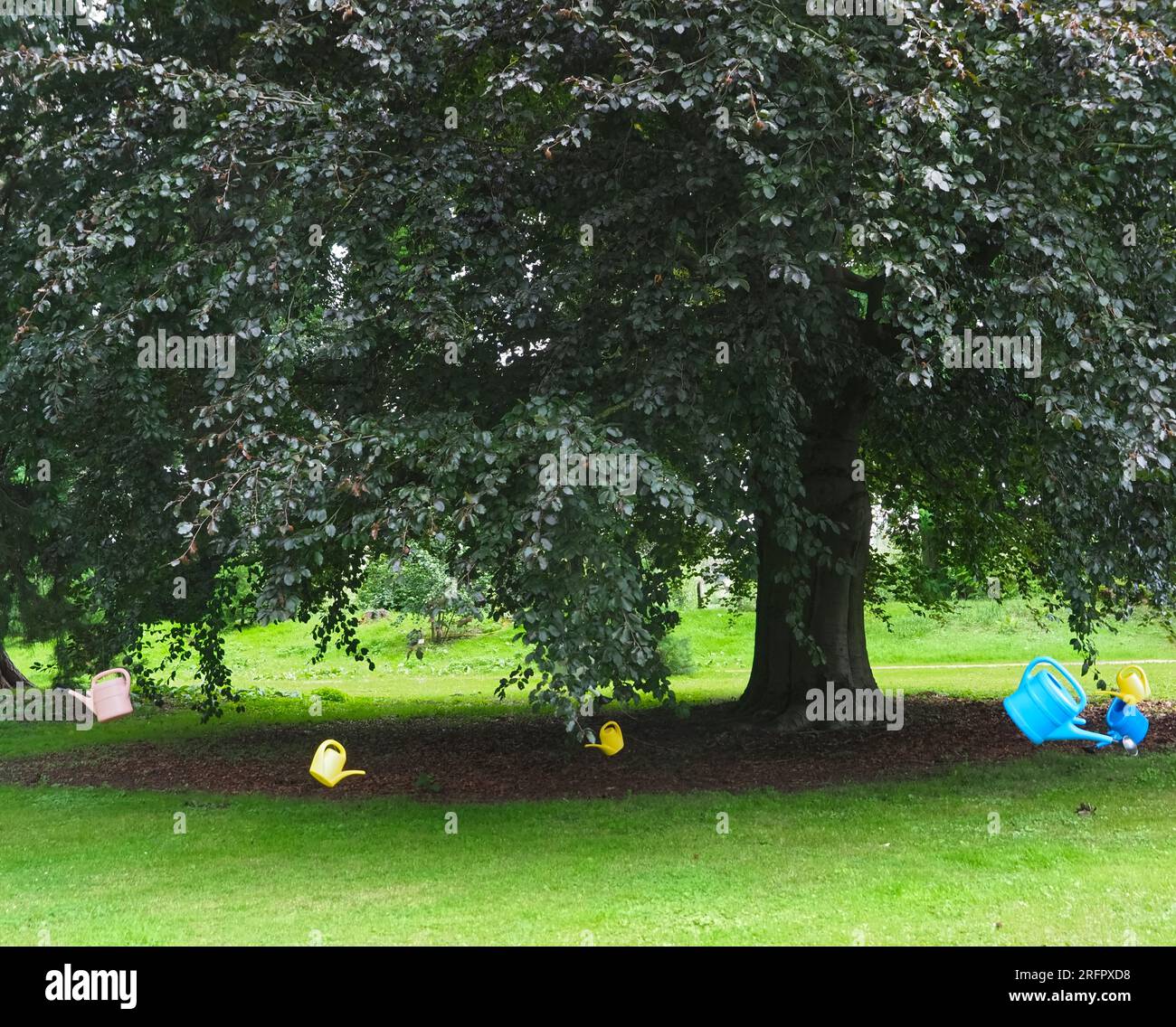 Wasserkannen hängen an einem Baum über einem Rasen, um die Wasserknappheit zu symbolisieren Stockfoto