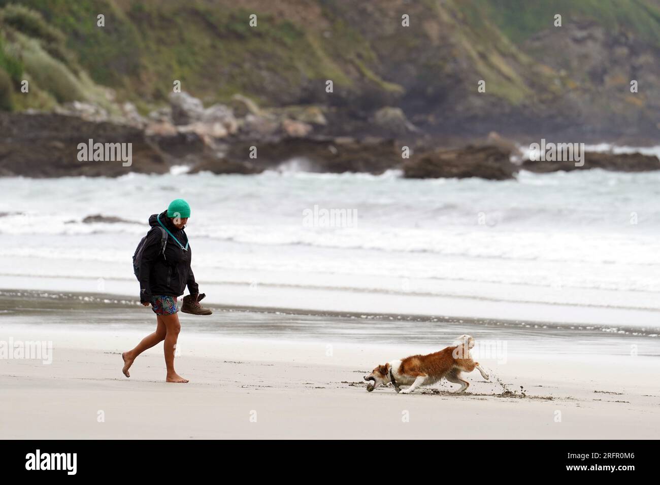 Ein Hundeläufer am Carne Beach in Cornwall wurde als Lebensgefahr herausgegeben, da der Sturm Antoni in Teile Großbritanniens eindringt und starken Regen und Wind mit sich bringt. Foto: Samstag, 5. August 2023. Stockfoto