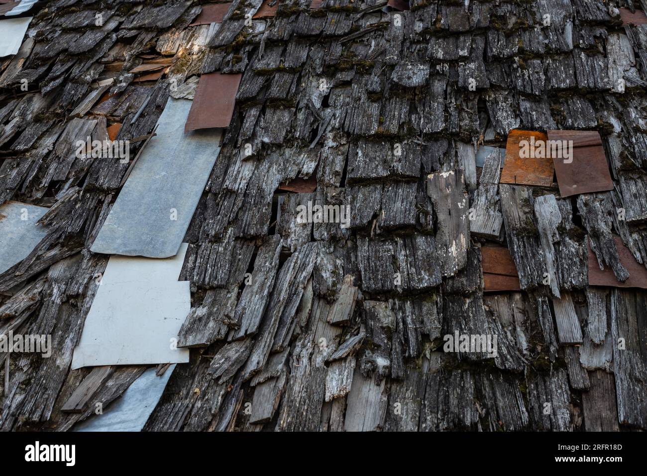 Das alte Schieferdach ist mit grünem Moos und trockenem Laub bedeckt. Das Konzept des Dachersetzens. Dachreparatur. Stockfoto